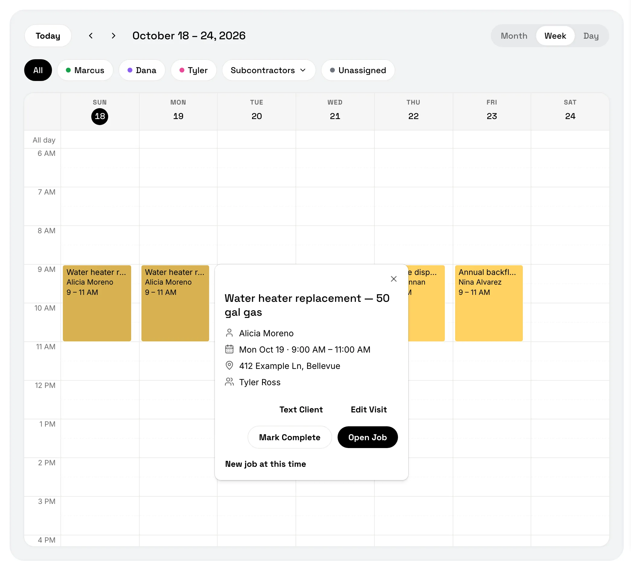 The calendar in Week view with team filter chips and a visit preview open